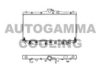 AUTOGAMMA 100404 Radiator, engine cooling